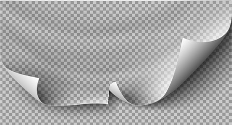 page curl with shadow on blank sheet paper vector image