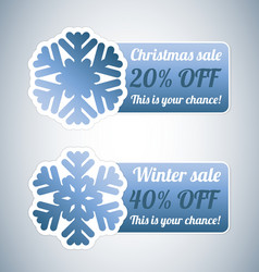 Winter sale labels with snowflake vector