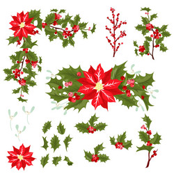 Christmas berry flower vector