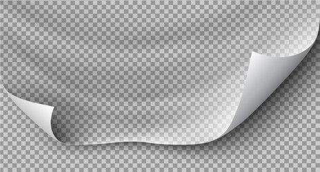 page curl with shadow on blank sheet paper vector image