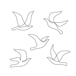 Abstract birds set continuous one line drawing vector