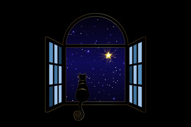 black cat sitting on the window at look stars vector