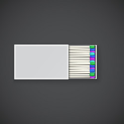 colorful matches in a box vector