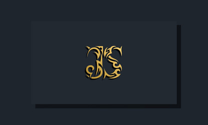 Initial letters sj monogram logo design bundle Vector Image