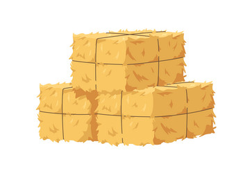 Bales with hay and pitchforks on a white Vector Image