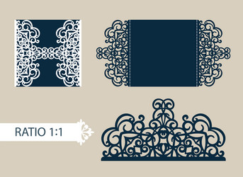template greeting card with openwork pattern vector image