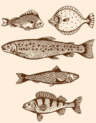 Fish Vector Images (over 530,000)
