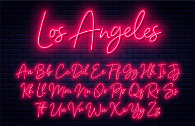 Neon Script Font - Glowing Alphabet vector image