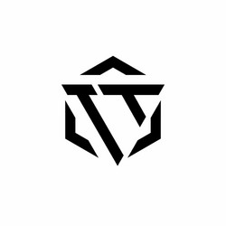 Dg logo monogram hexagon shape with triangle Vector Image