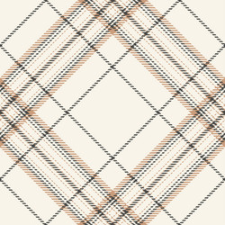 Black white check plaid texture seamless pattern Vector Image