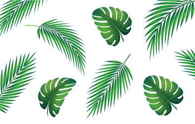 Tropical Leaf Pattern Vector Image