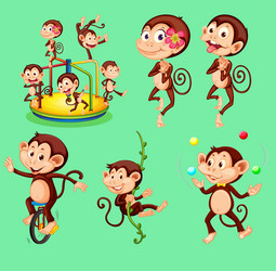 set of monkey with difference pose character vector image