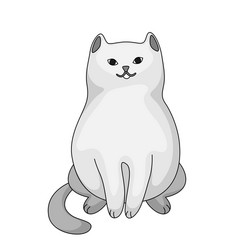 stylized cartoon white cat vector