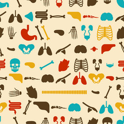 Human anatomy pattern seamless skeleton Royalty Free Vector