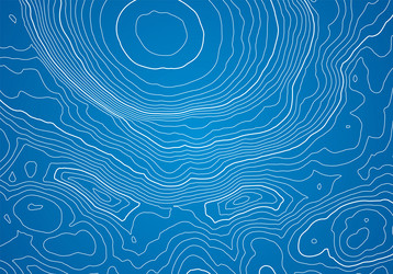abstract topographic map background with height vector image