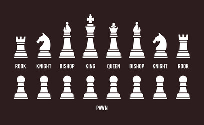 Set Icons Chess Pieces Their Names Stock Illustration 329364188