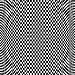 spherical globe circular distort effect pattern vector image