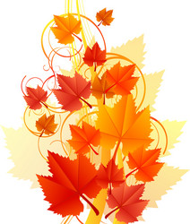 Leaves flowers vector