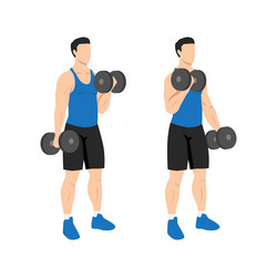 Man doing incline dumbbell curl flat Royalty Free Vector