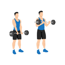 Man Performing EZ Barbell Curl vector image