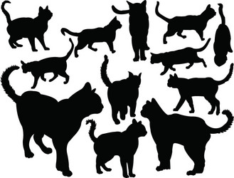 Cat Silhouette Black Vector Image