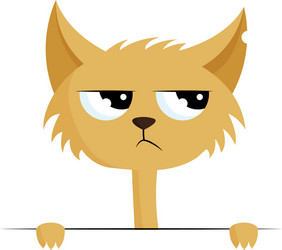 angry cat with torn ear color vector