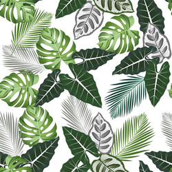 Tropical Alocasia Leaf Pattern Vector Image