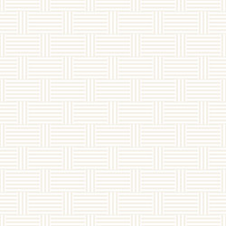 abstract geometric pattern with stripes lattice vector image