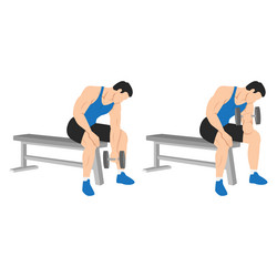 Man Doing Dumbbell Concentration Curl vector image