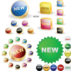 web buttons vector image