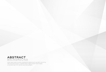 Abstract White Gray Gradient Background vector image