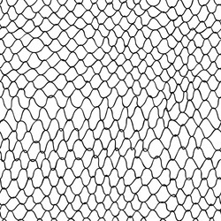 Seamless Net Pattern vector image