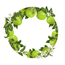 template decorative element with citrus fruits vector image