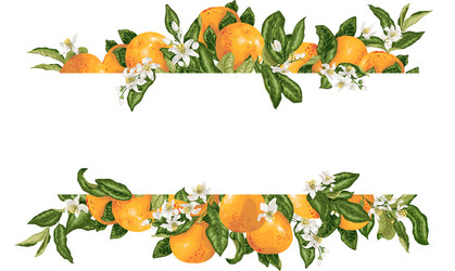 template frame decprative element with citrus vector