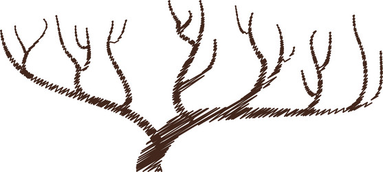 Tree branch hand drawing isolated icon vector