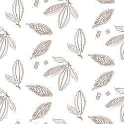 cocoa beans outline seamless pattern chocolate vector image
