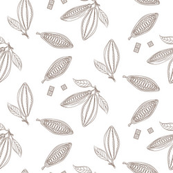 Cocoa beans outline seamless pattern chocolate vector