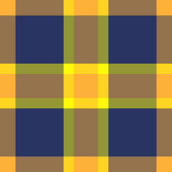 attire background plaid pattern scratch check vector image
