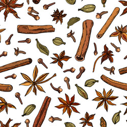 Seamless pattern spices vector