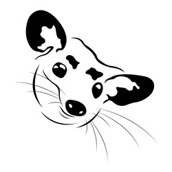 apossum muzzle silhouette drawn with different lin vector image