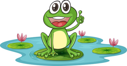 a frog and water Vector Image