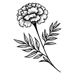imple marigold line drawing flower tattoo Vector Image