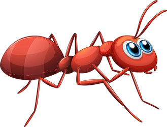 Ant Head Vector Images (over 740) Ant Head Vector Images (over 740)