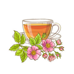 Dog Rose Tea Illustration Vector Image