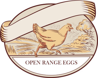hen running open range eggs oval drawing vector image