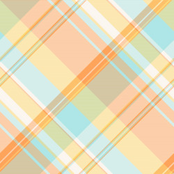 panel texture check pattern sketch fabric vector image