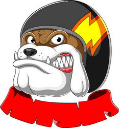 bulldog wearing helmet racer Vector Image