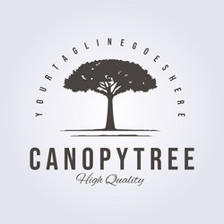 canopy tree service retro style logo vintage vector