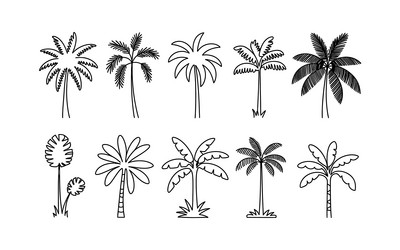 collection of different palm trees simple outlined vector image