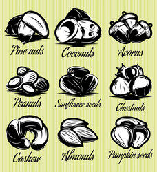 set symbols patterns of different seeds nuts vector image